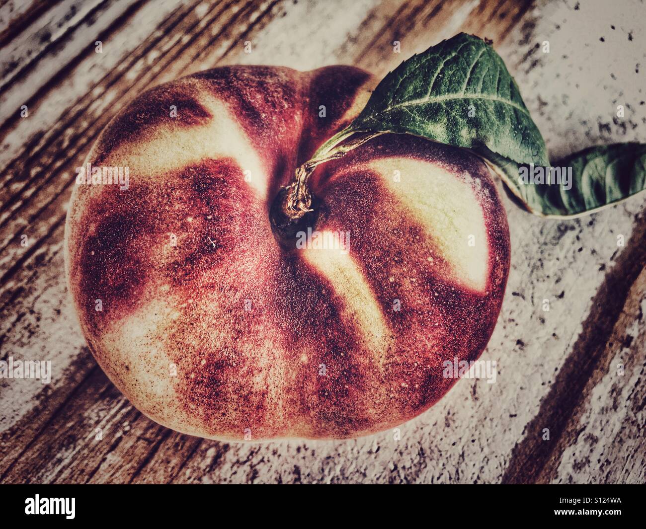 Saturn peach, Prunus persica var. platycarpa also known as Donut peach, Doughnut peach, Flat peach, Paraguayo or Pataguaya. - Smartphone Captured Stock Image