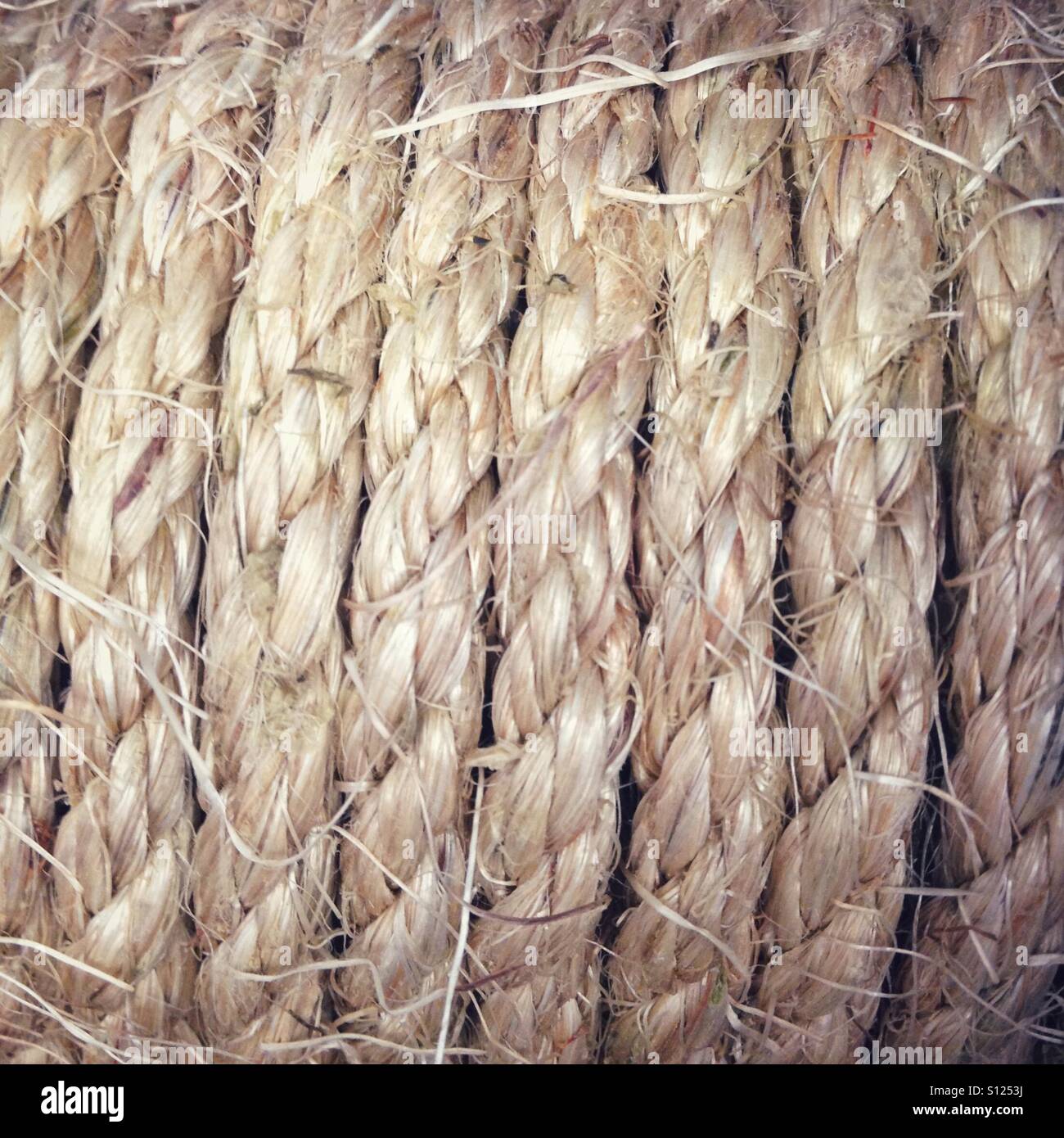 Old rope - Smartphone Captured Stock Image