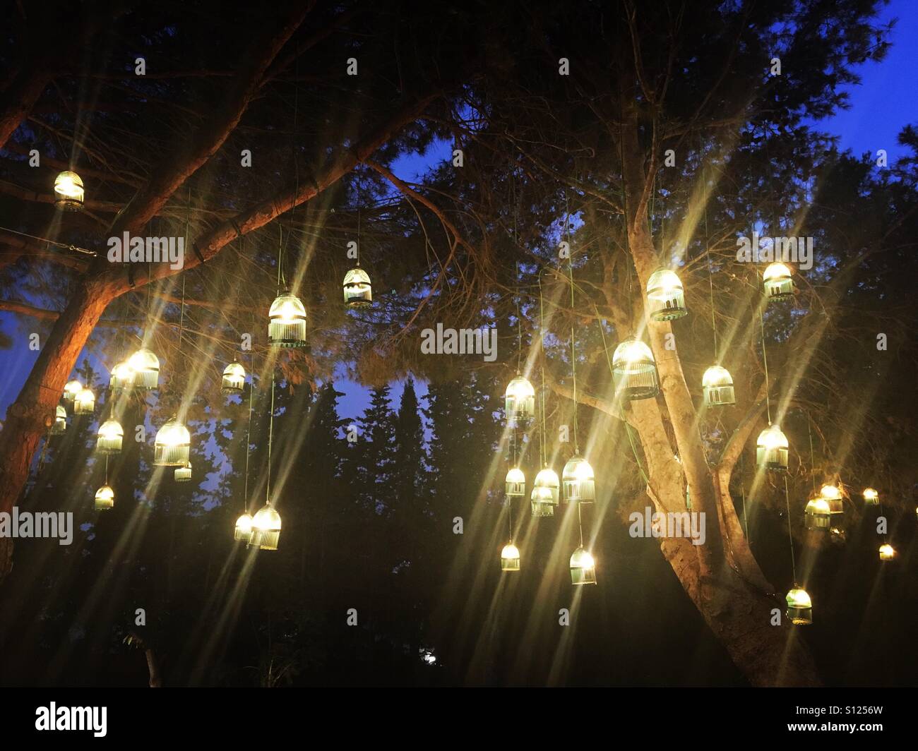 Light bulbs in bird cages hanging from trees - Smartphone Captured Stock Image Light bulbs in bird cages hanging from trees - Smartphone Captured Stock Image