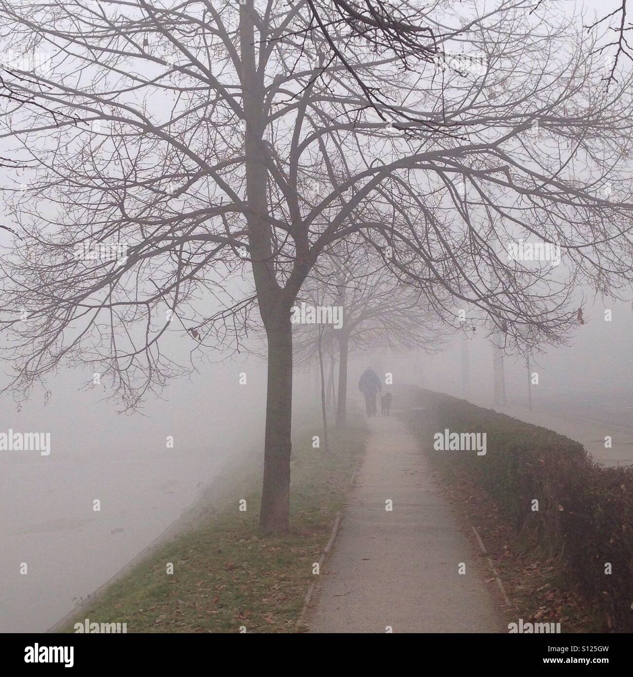 Fog on the streets. Best friends Stock Photo Alamy