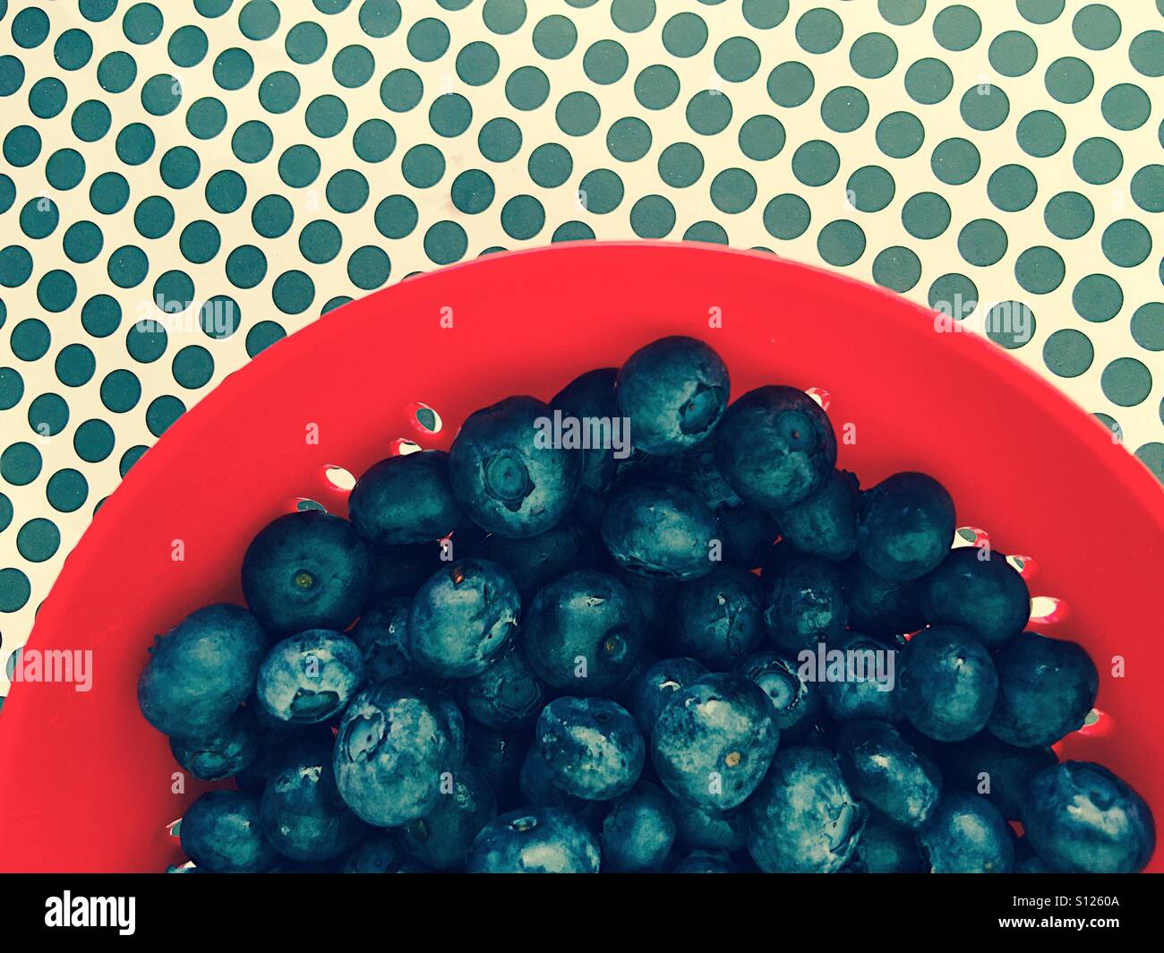 Blueberries and polka dots - Smartphone Captured Stock Image
