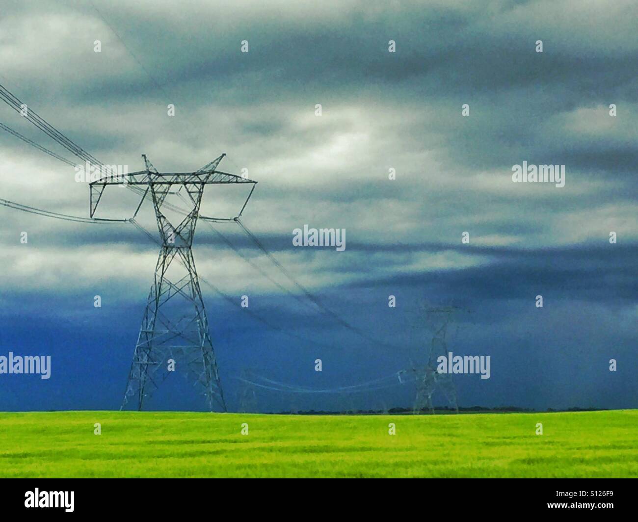 Power line in a canola field - Smartphone Captured Stock Image