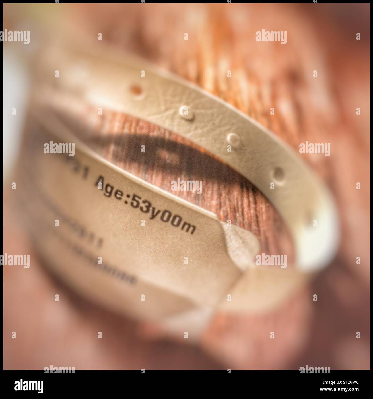 Hospital identification bracelet hires stock photography and images