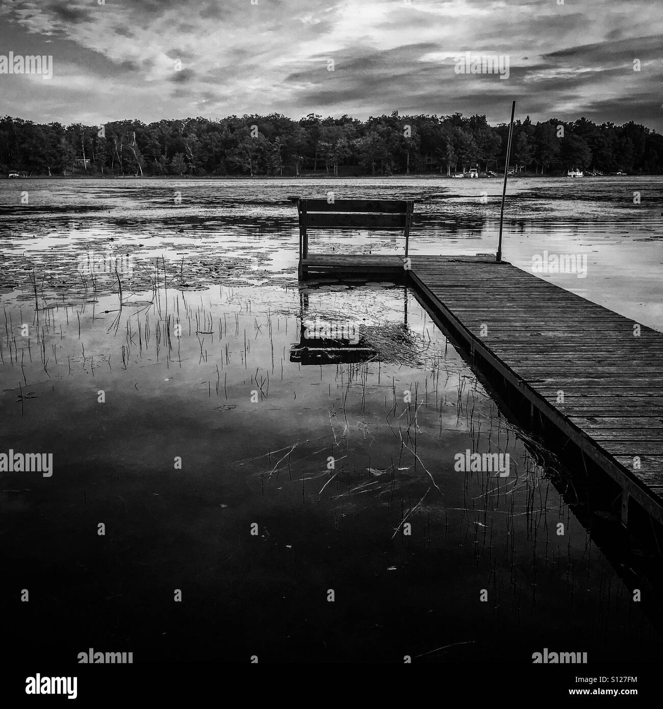 A dock on a lake in Minnesota  black and white Stock Photo