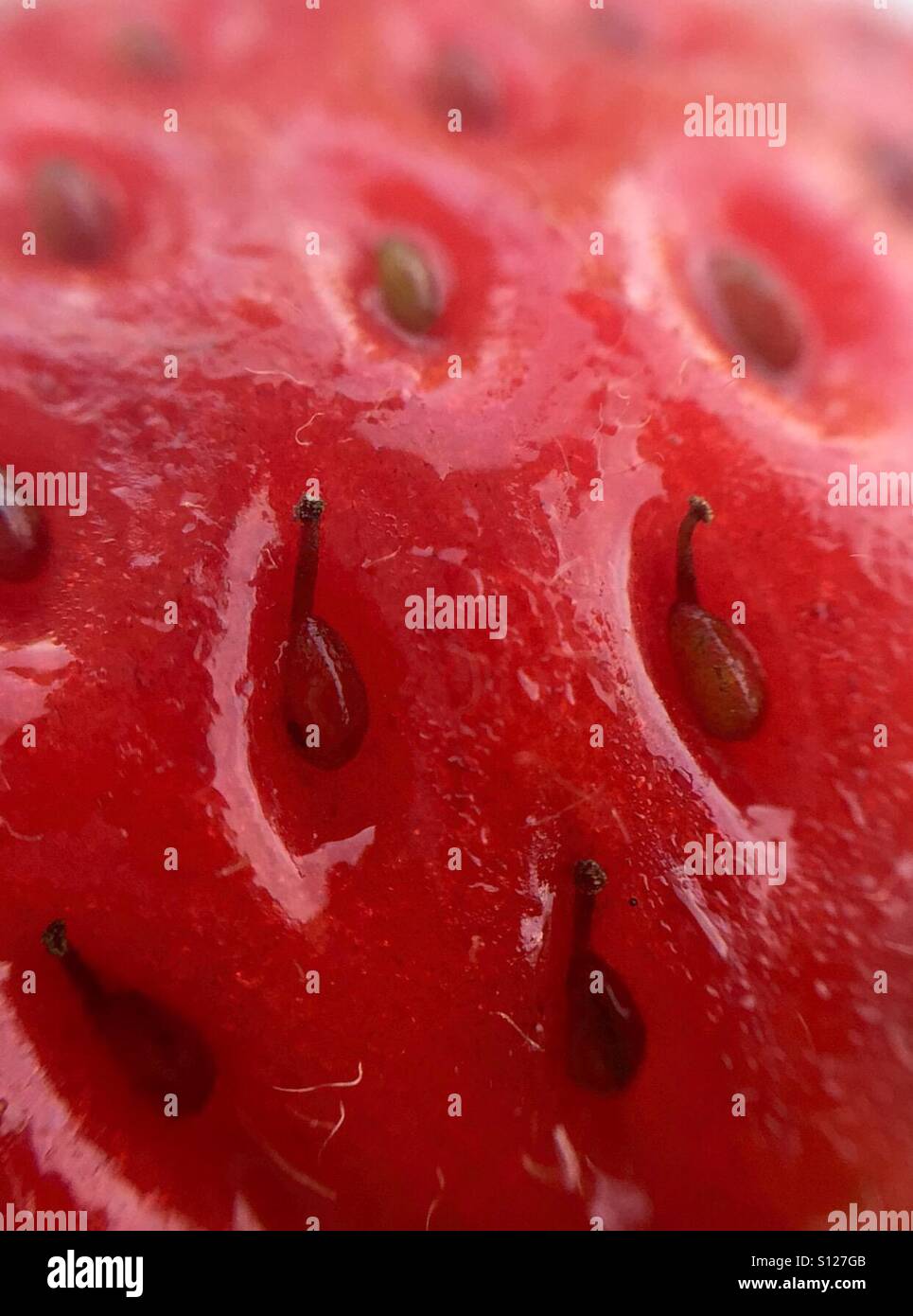 Close up of a red ripe strawberry Stock Photo - Alamy