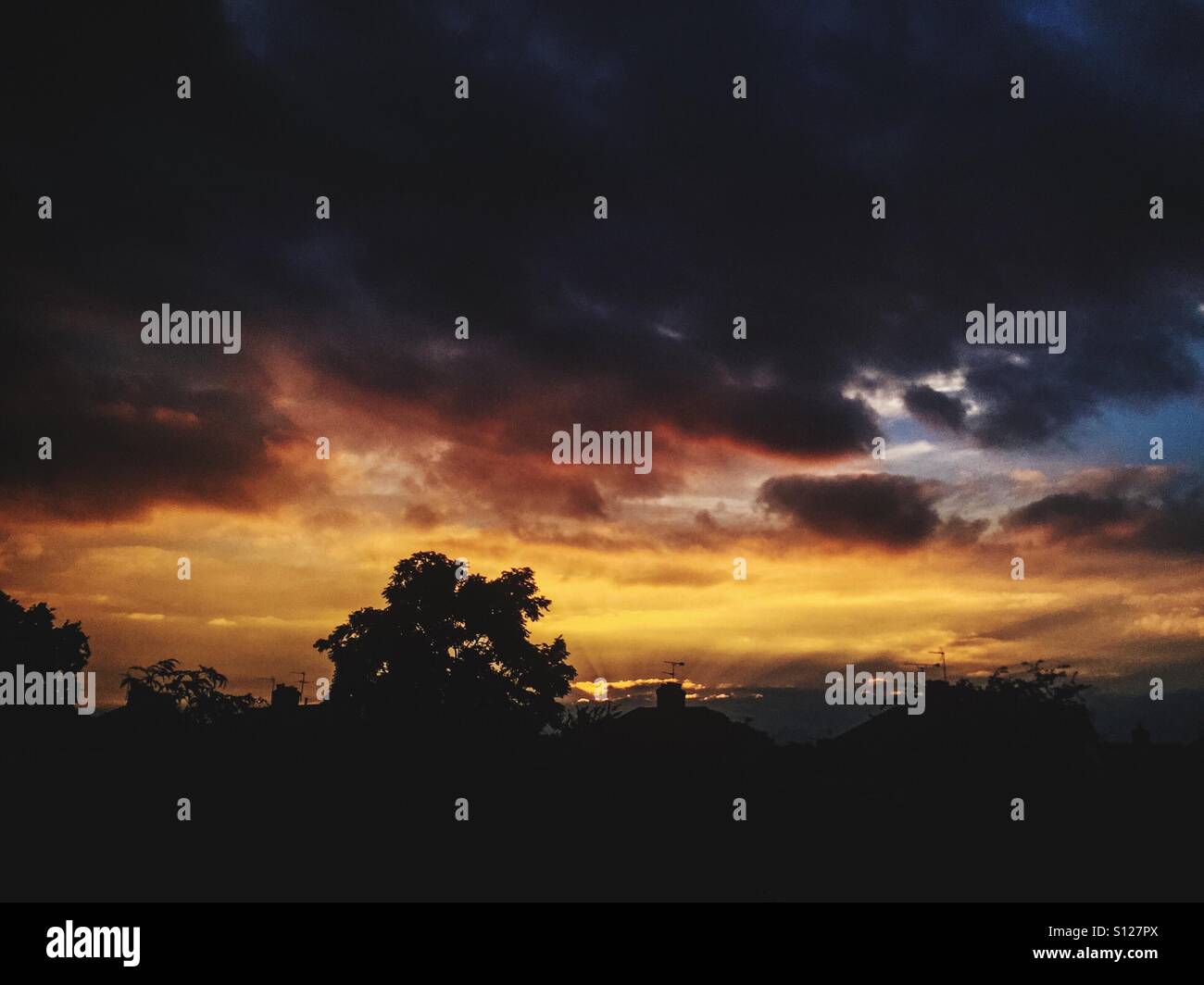 In evening june hi-res stock photography and images - Alamy