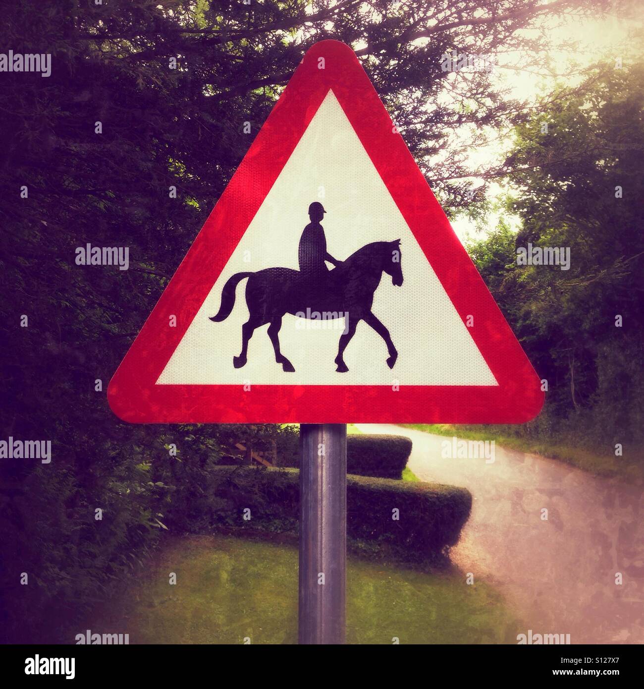 Warning horse riders sign, Hampshire, England, United Kingdom. - Smartphone Captured Stock Image