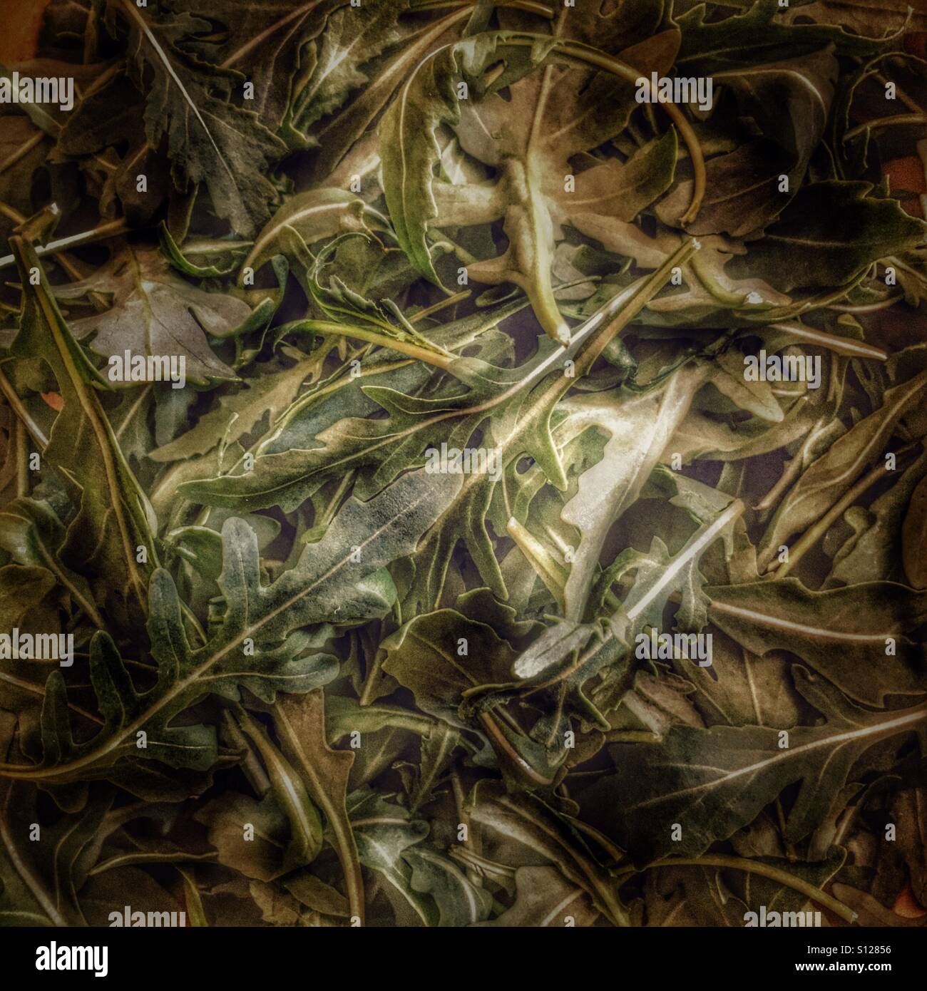 Rocket - Smartphone Captured Stock Image