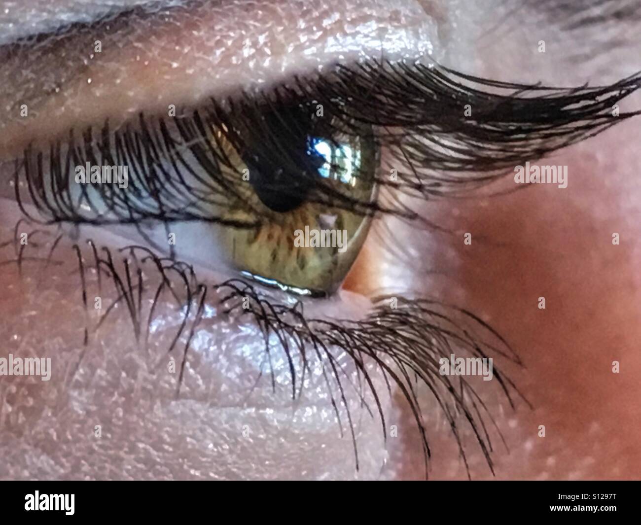 Eye - Smartphone Captured Stock Image