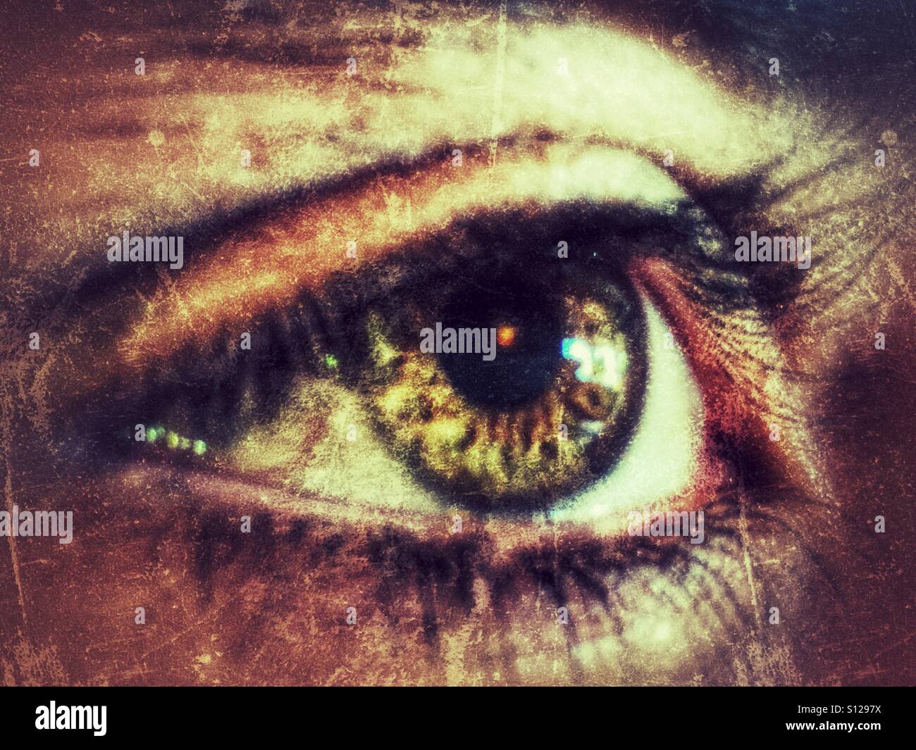Eye - Smartphone Captured Stock Image
