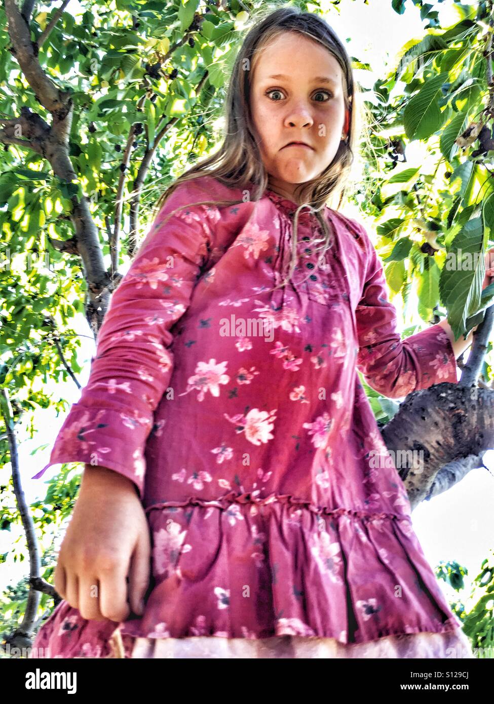 Very unhappy little girl in a cherry tree. Stock Photo