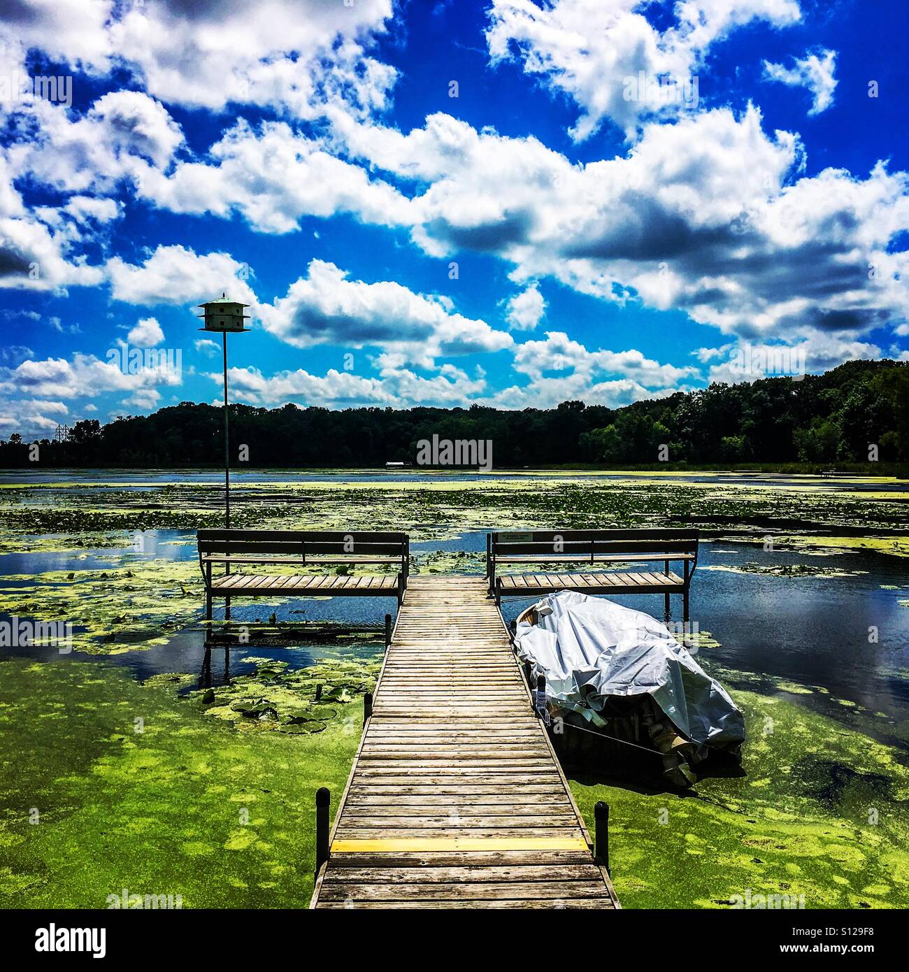 Bench on a dock hires stock photography and images Alamy