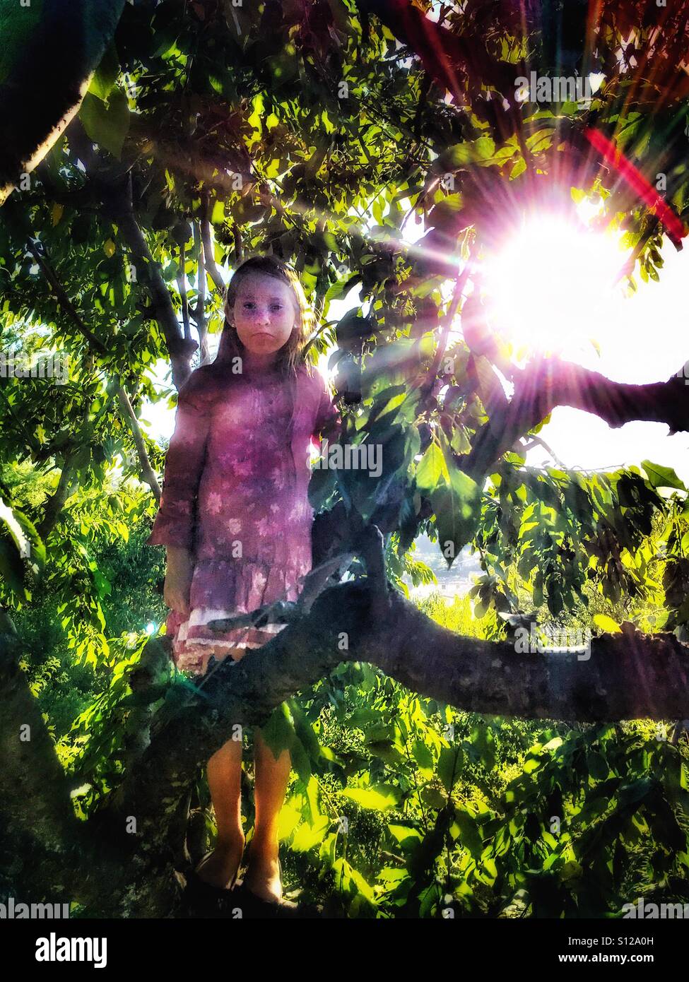 Moody girl in a cherry tree. - Smartphone Captured Stock Image