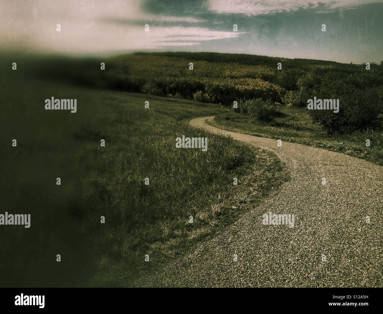 Into the valley. - Smartphone Captured Stock Image