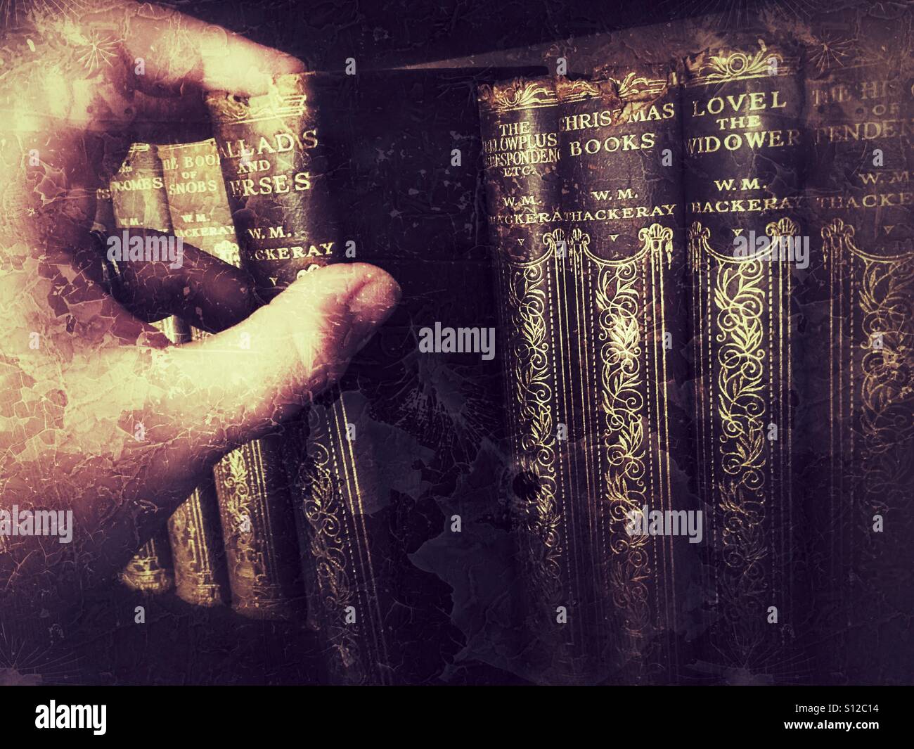 Choosing a book from a shelf of antique books by the 19th century English novelist W. M. Thackeray. - Smartphone Captured Stock Image