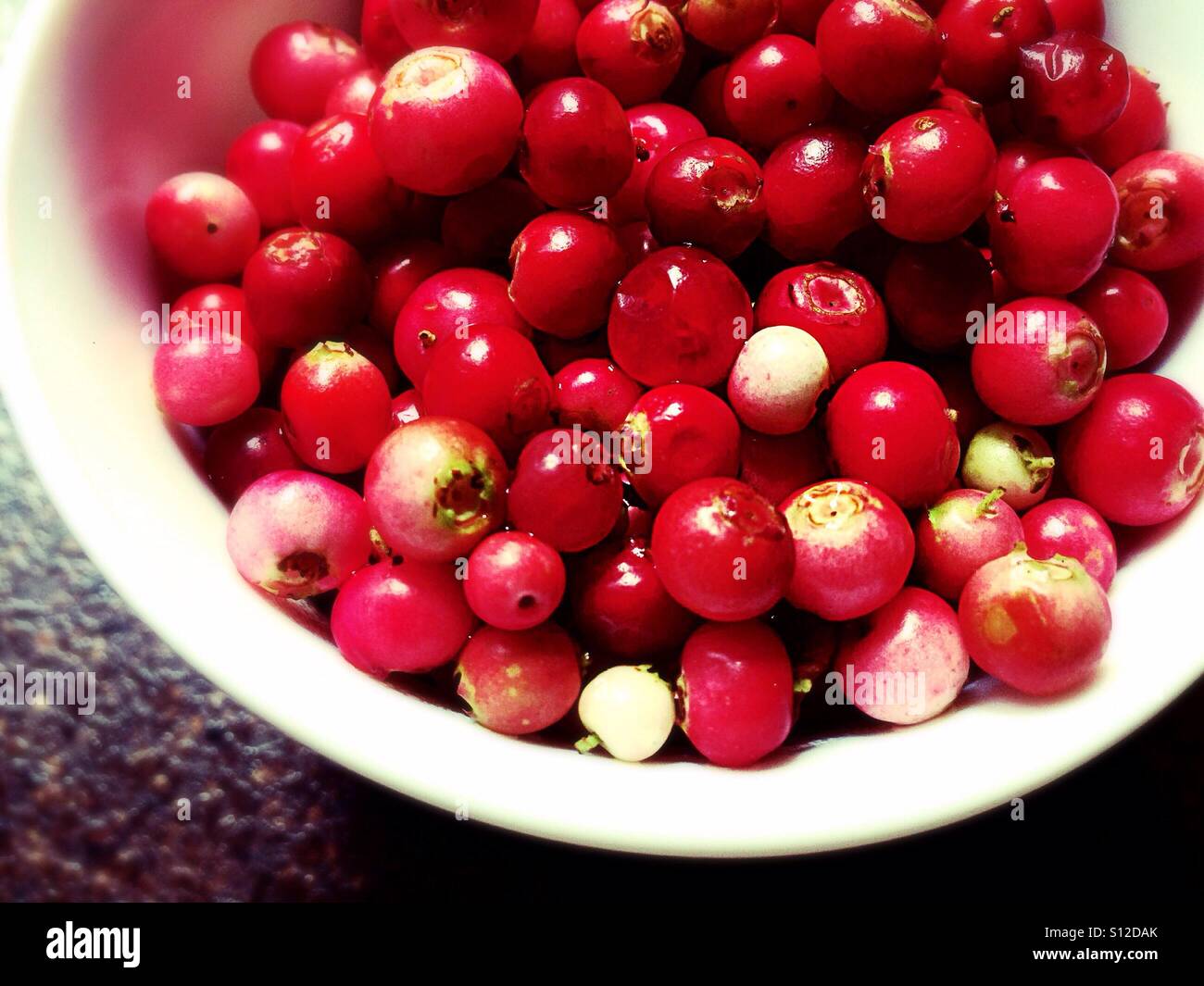 Cranberries in the cup - Smartphone Captured Stock Image