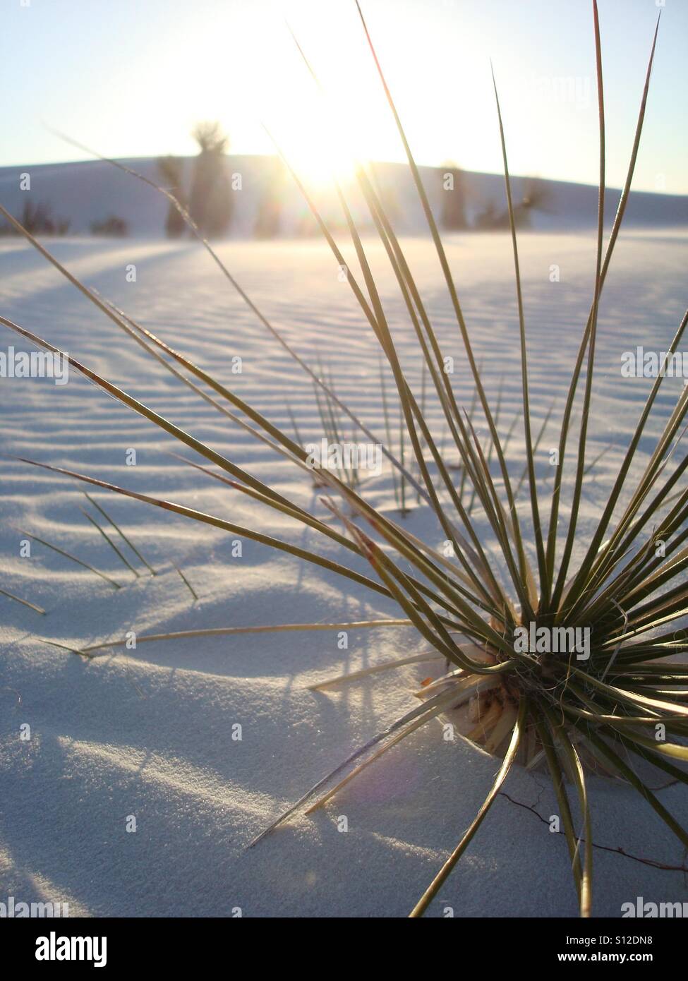 White sands new mexico hires stock photography and images Alamy