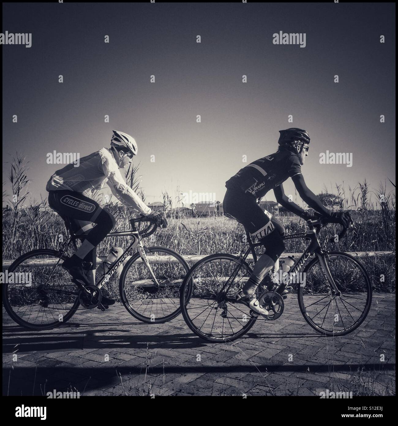 Cyclists. - Smartphone Captured Stock Image