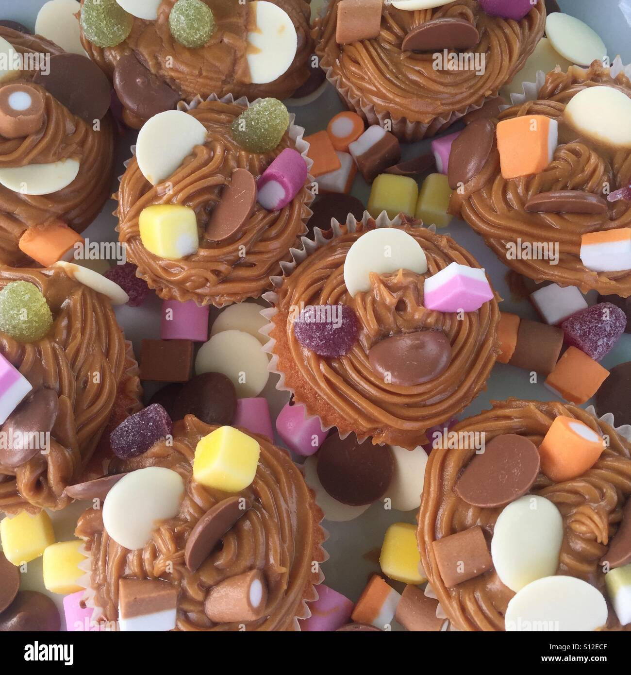 Chocolate cup cakes with dolly mixtures on top Stock Photo