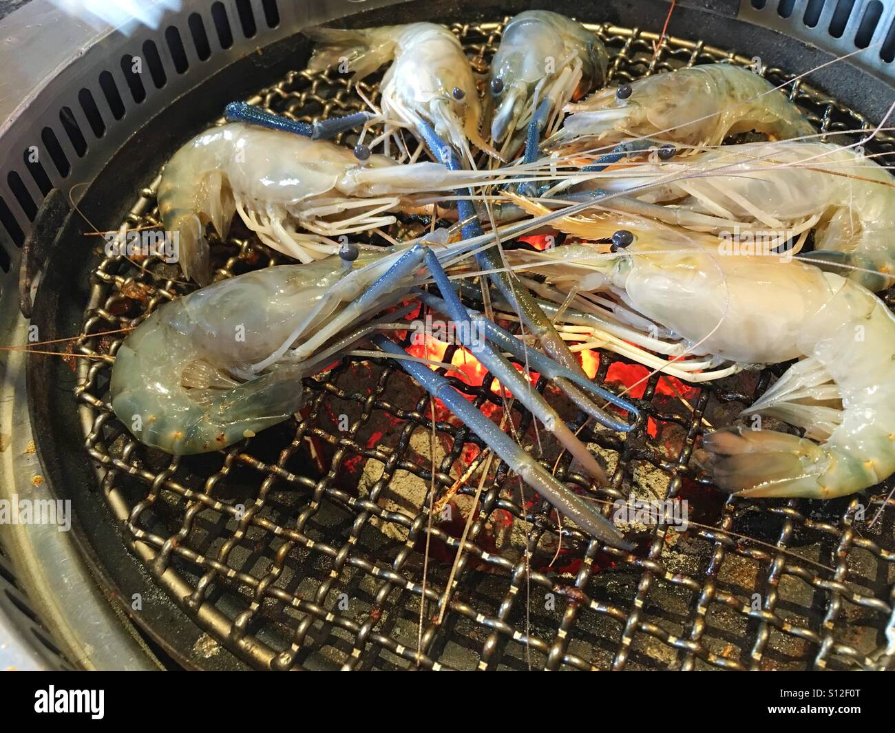 The group of shrimp on the hot stove Stock Photo - Alamy