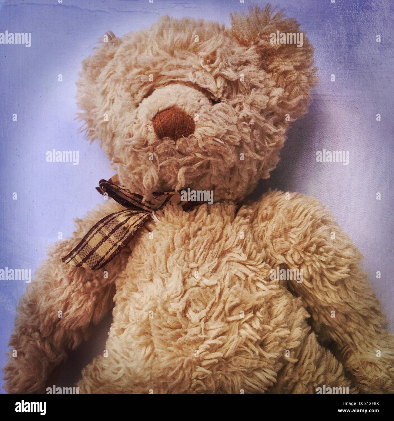 Golden teddy bear Stock Photo
