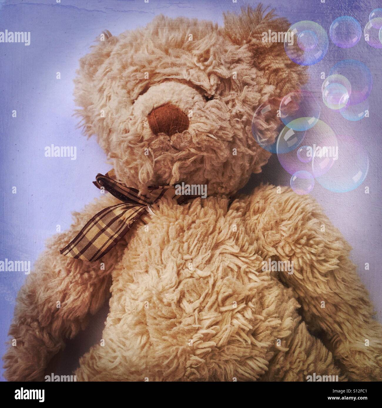 Golden teddy bear with bubbles Stock Photo