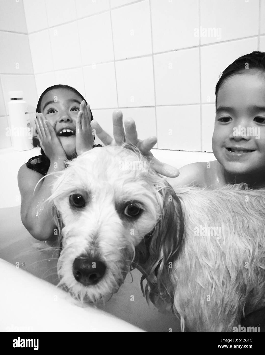 Bath time with the hound Stock Photo Alamy