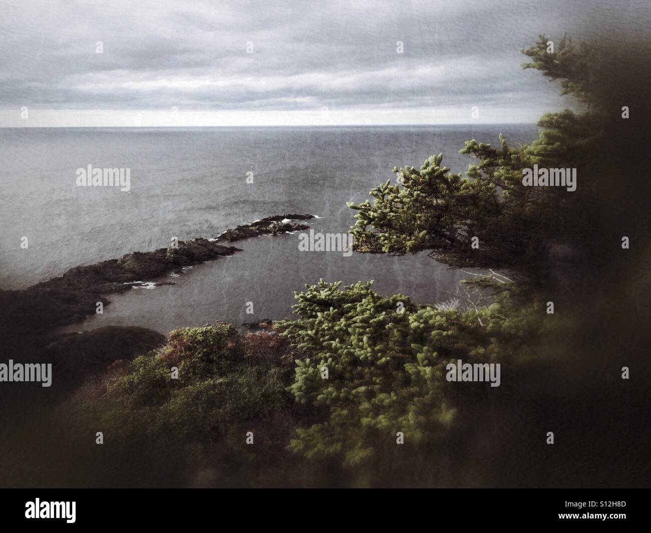 A somber day overlooking the Atlantic coast. - Smartphone Captured Stock Image