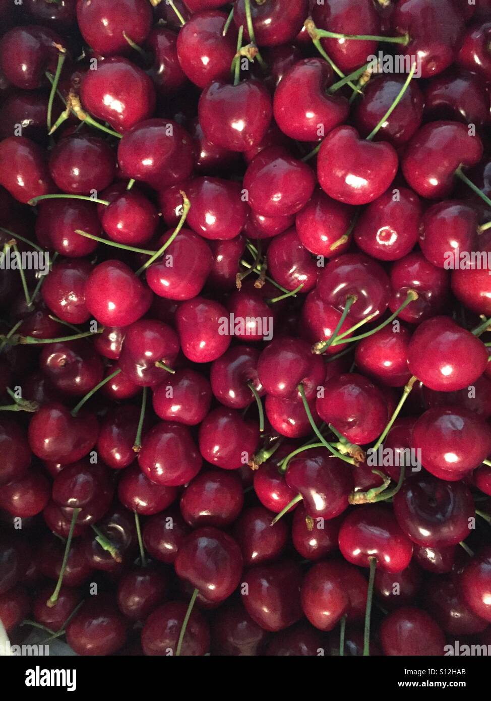 Fresh sweet cherries Stock Photo
