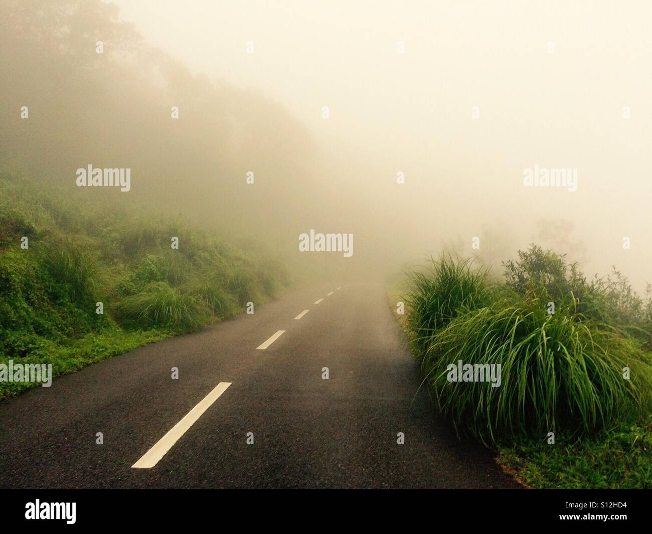 A hill side misty road in early morning Stock Photo