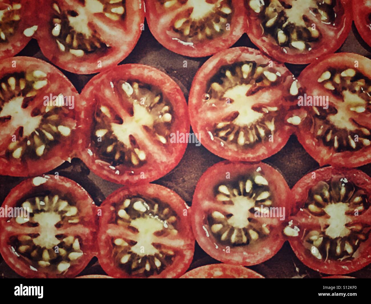 Tomatoes - Smartphone Captured Stock Image