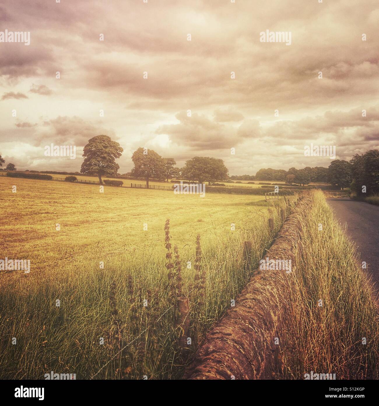 Stylised rural countryside landscape with stone wall, grassy fields and dramatic sky in West Yorkshire, England. - Smartphone Captured Stock Image