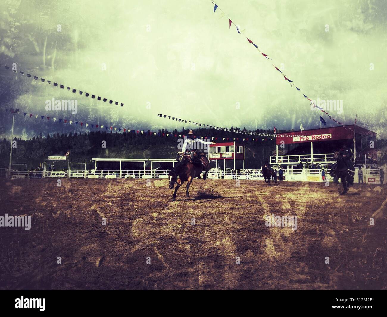 Professional rodeo cowboy on hi-res stock photography and images - Alamy
