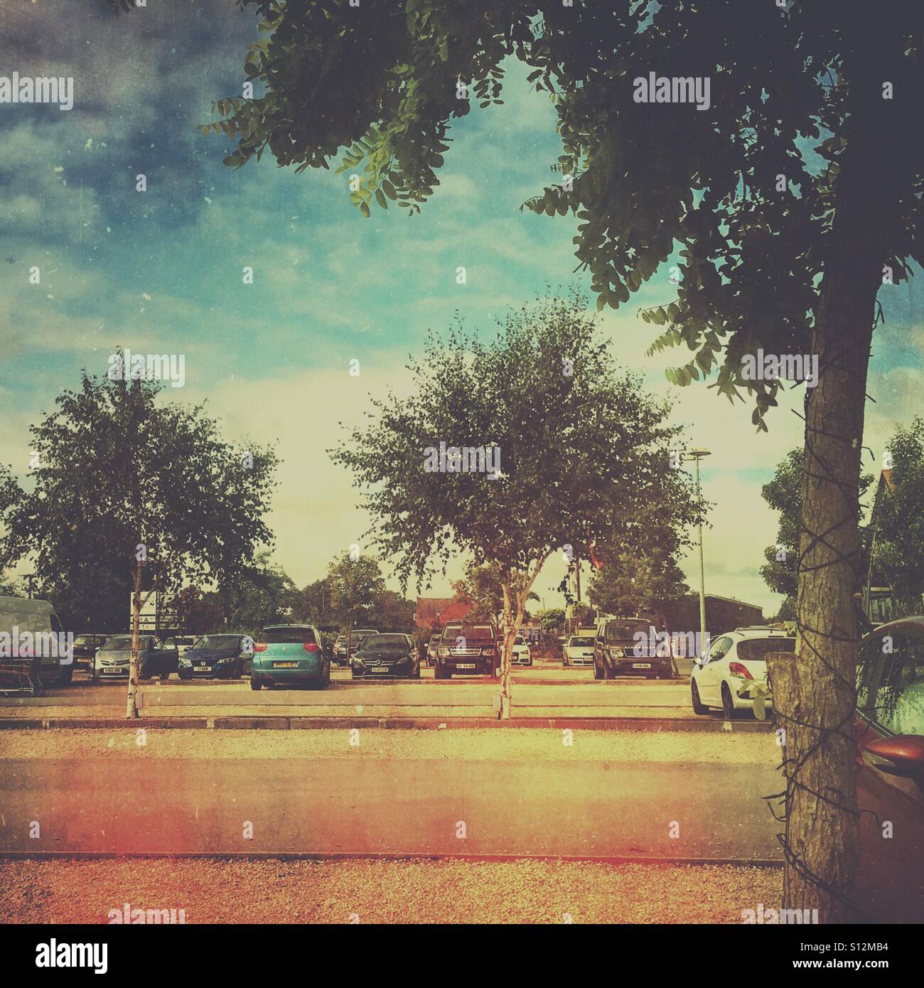 Painterly suburban car park scene with trees and vehicles, abstracted by soft focus and light leaks, evoking everyday modern life and routine. - Smartphone Captured Stock Image