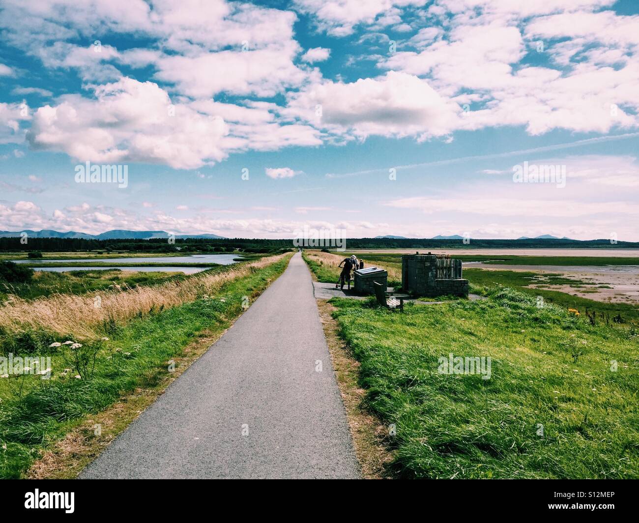 Path along Malltraeth sands heading towards Newborough forest, Anglesey, North Wales - Smartphone Captured Stock Image