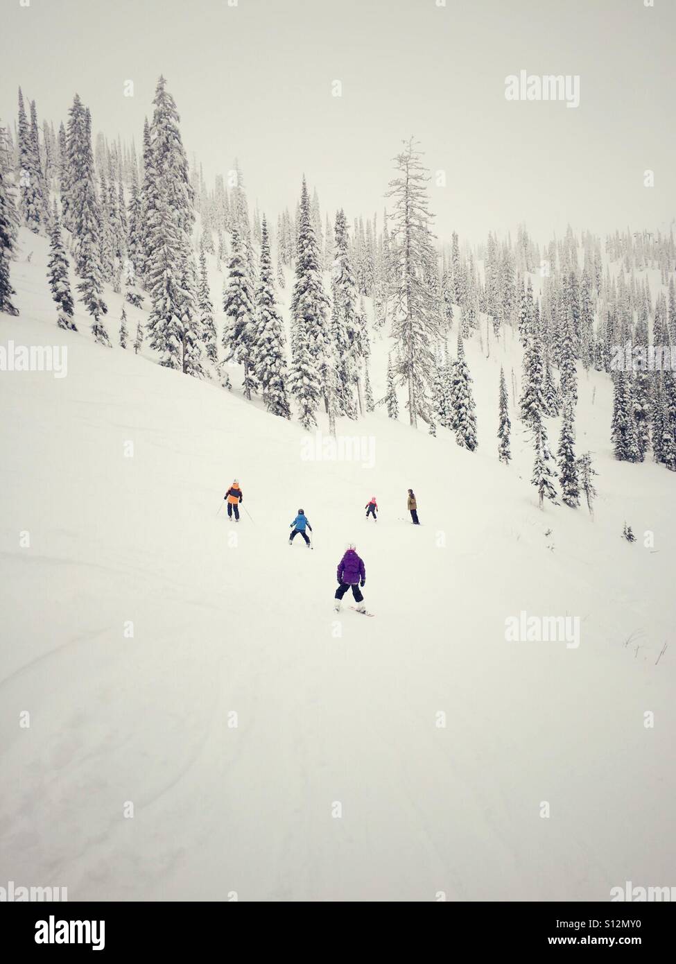 A family skis on an overcast day in the mountains Stock Photo Alamy