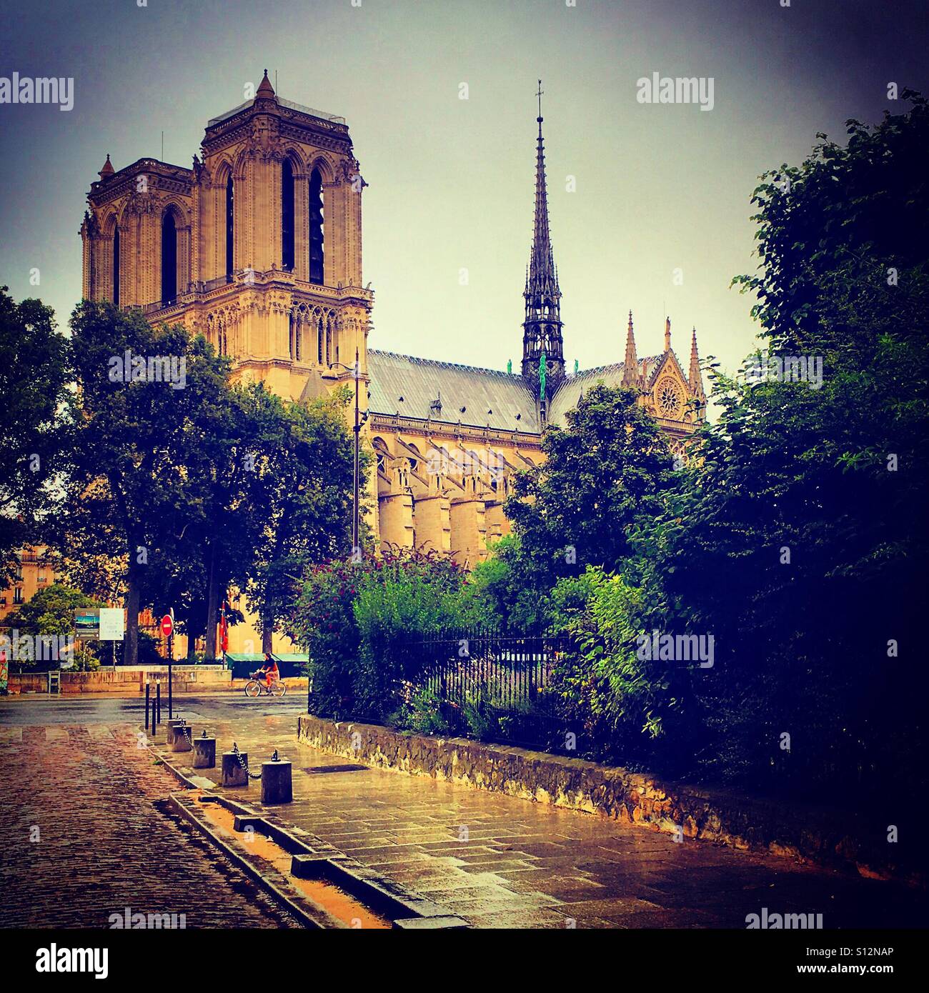 Notre-Dame of Paris - Smartphone Captured Stock Image