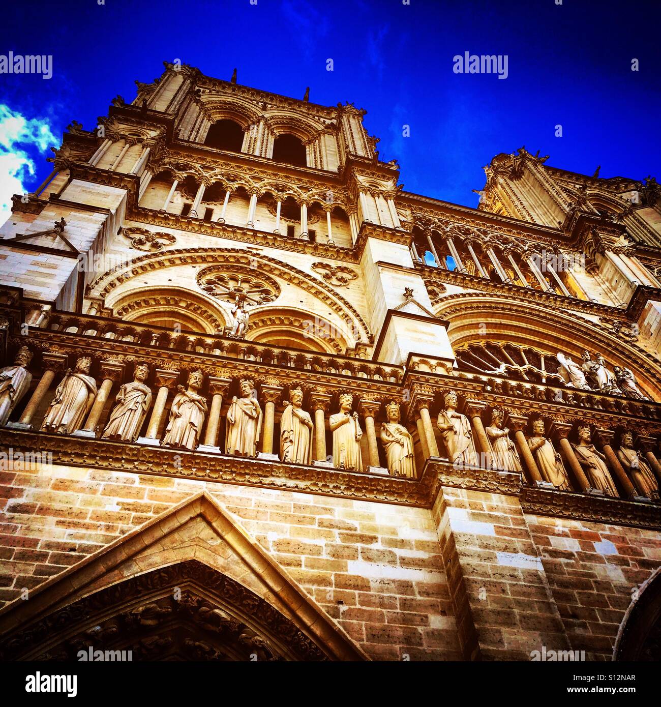 Cathedral of Notre-Dame of Paris - Smartphone Captured Stock Image
