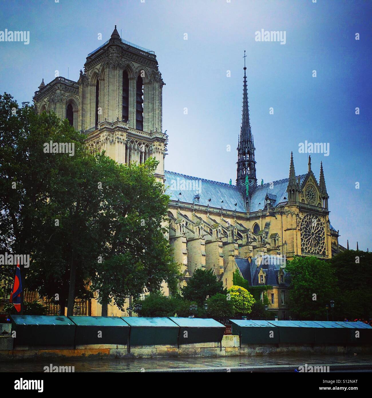 Cathedral Notre-Dame of Paris - Smartphone Captured Stock Image