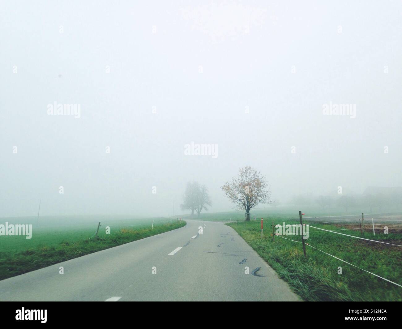 Driving on foggy country road hi-res stock photography and images - Alamy
