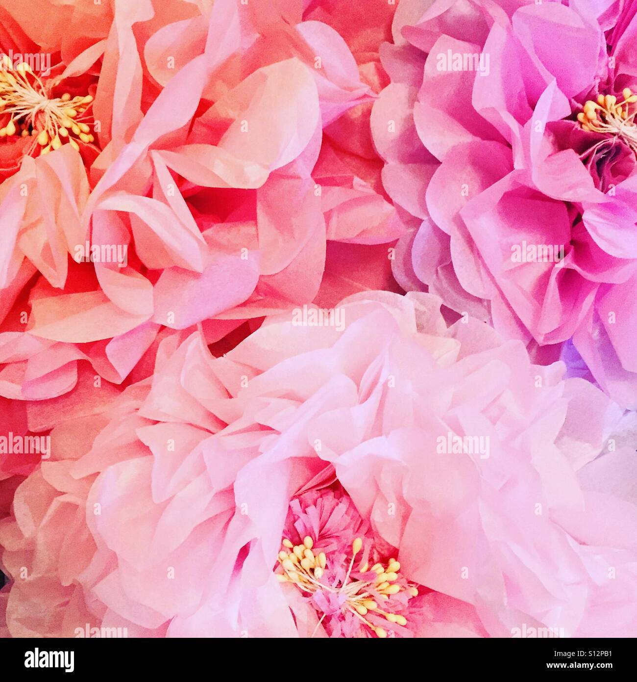How to make paper flowers hires stock photography and images Alamy