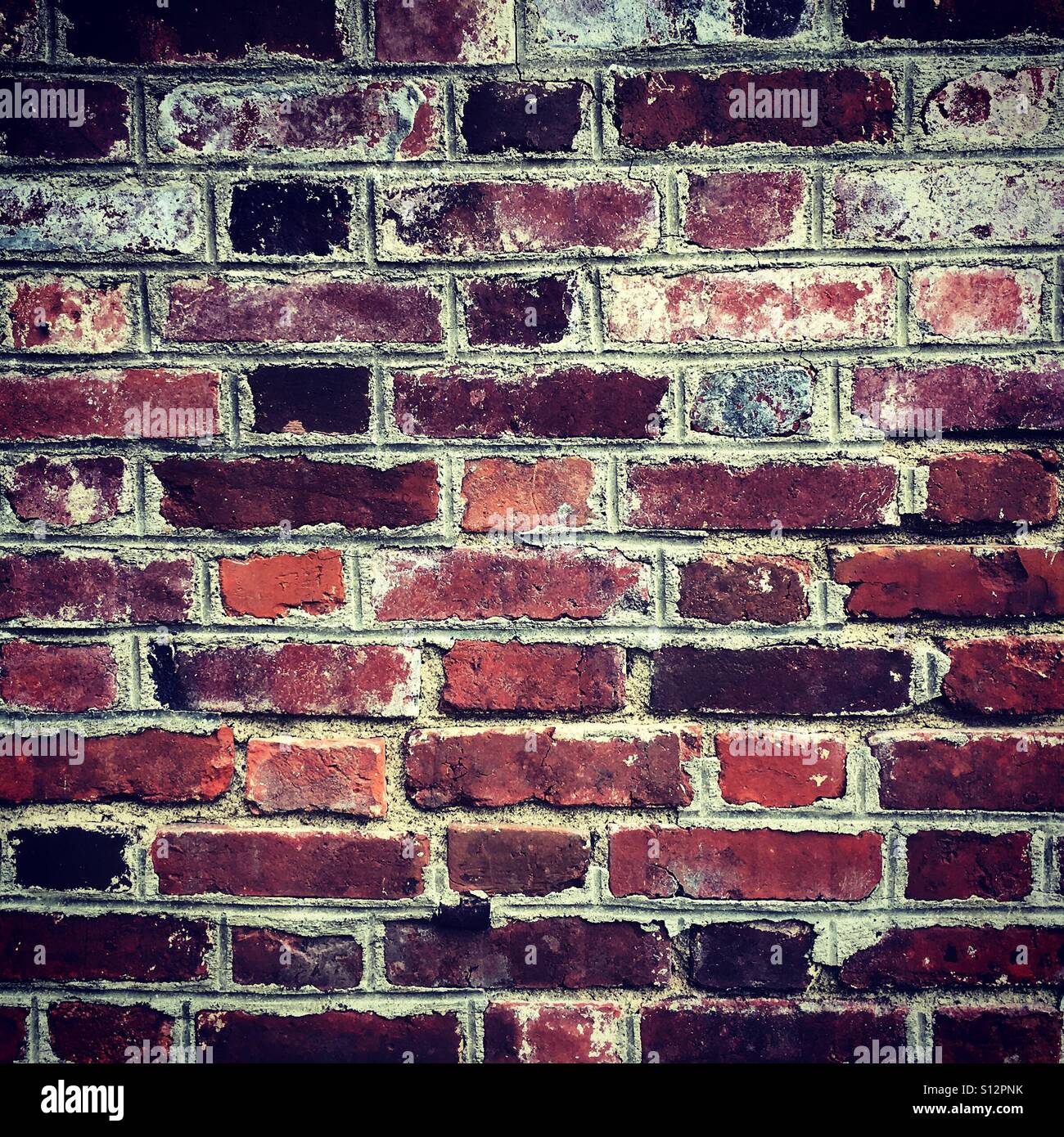 Brick wall in Normandy - Smartphone Captured Stock Image