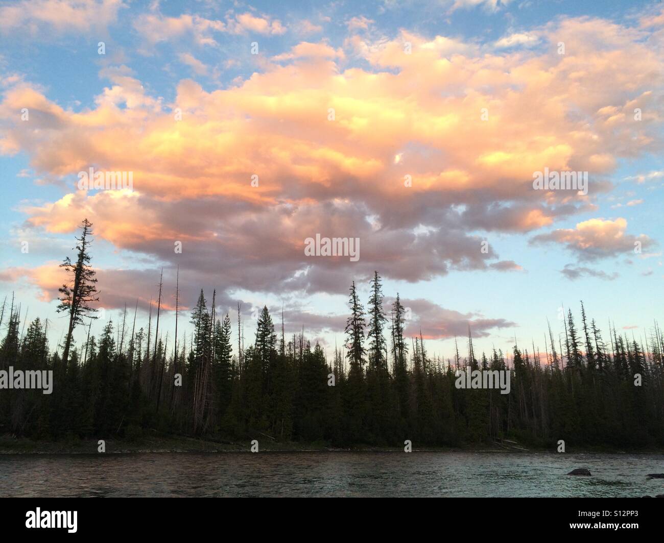 North Fork of the Flathead River amidst Montana wilderness during sunset. Stock Photo