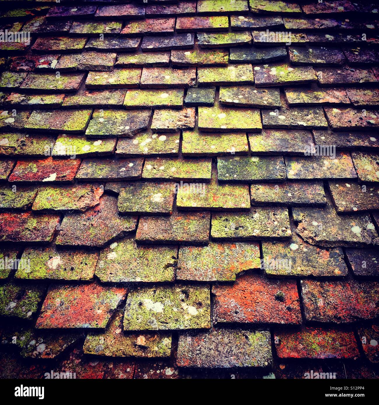 Old style roof tiles in Normandy - Smartphone Captured Stock Image
