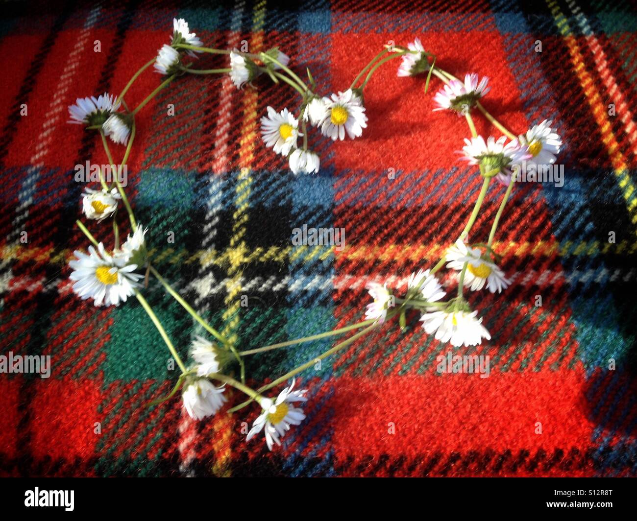Daisy Chain Heart Stock Photo Alamy