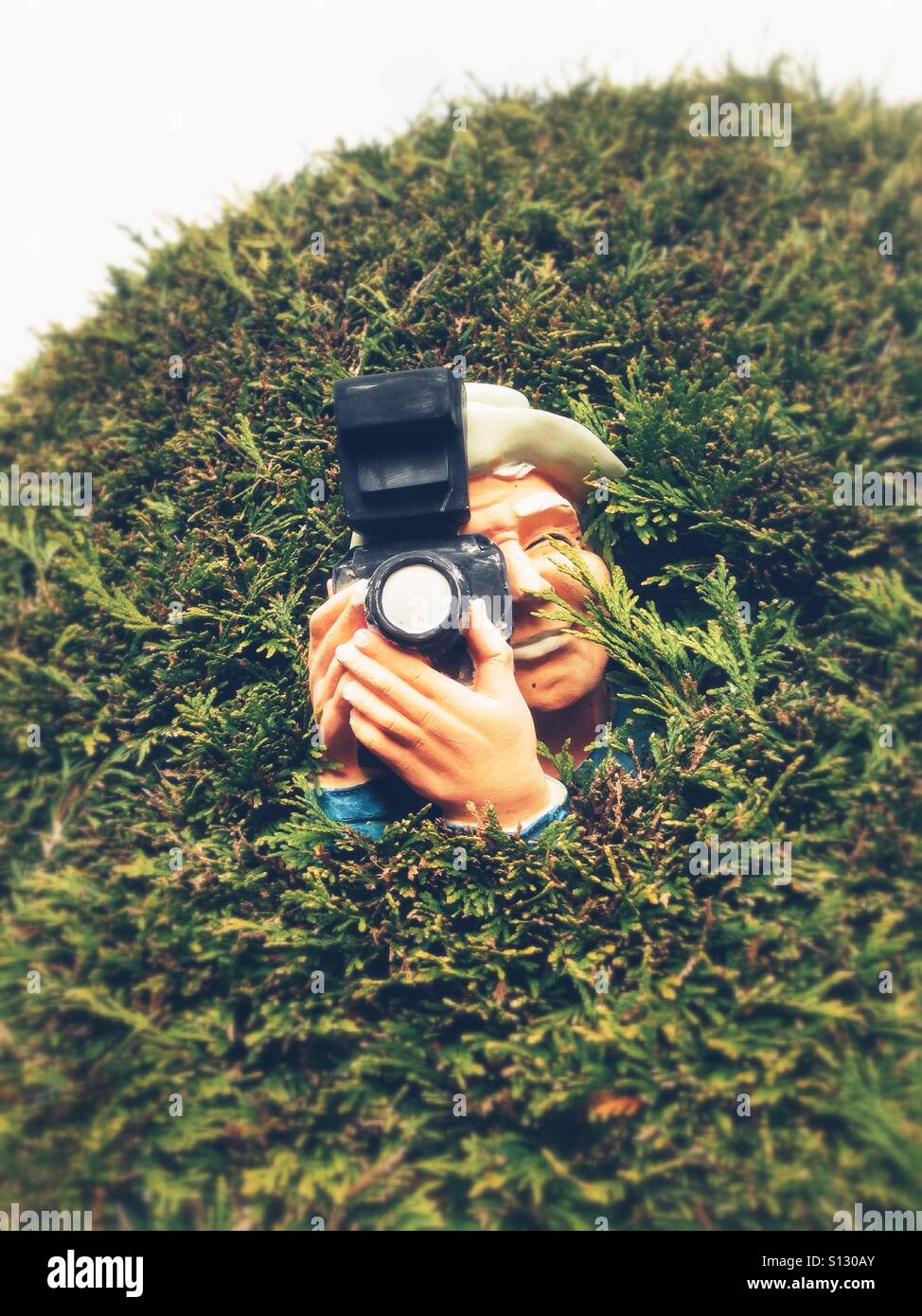 A sculpture of a photographer peeping from a green shrub Stock Photo