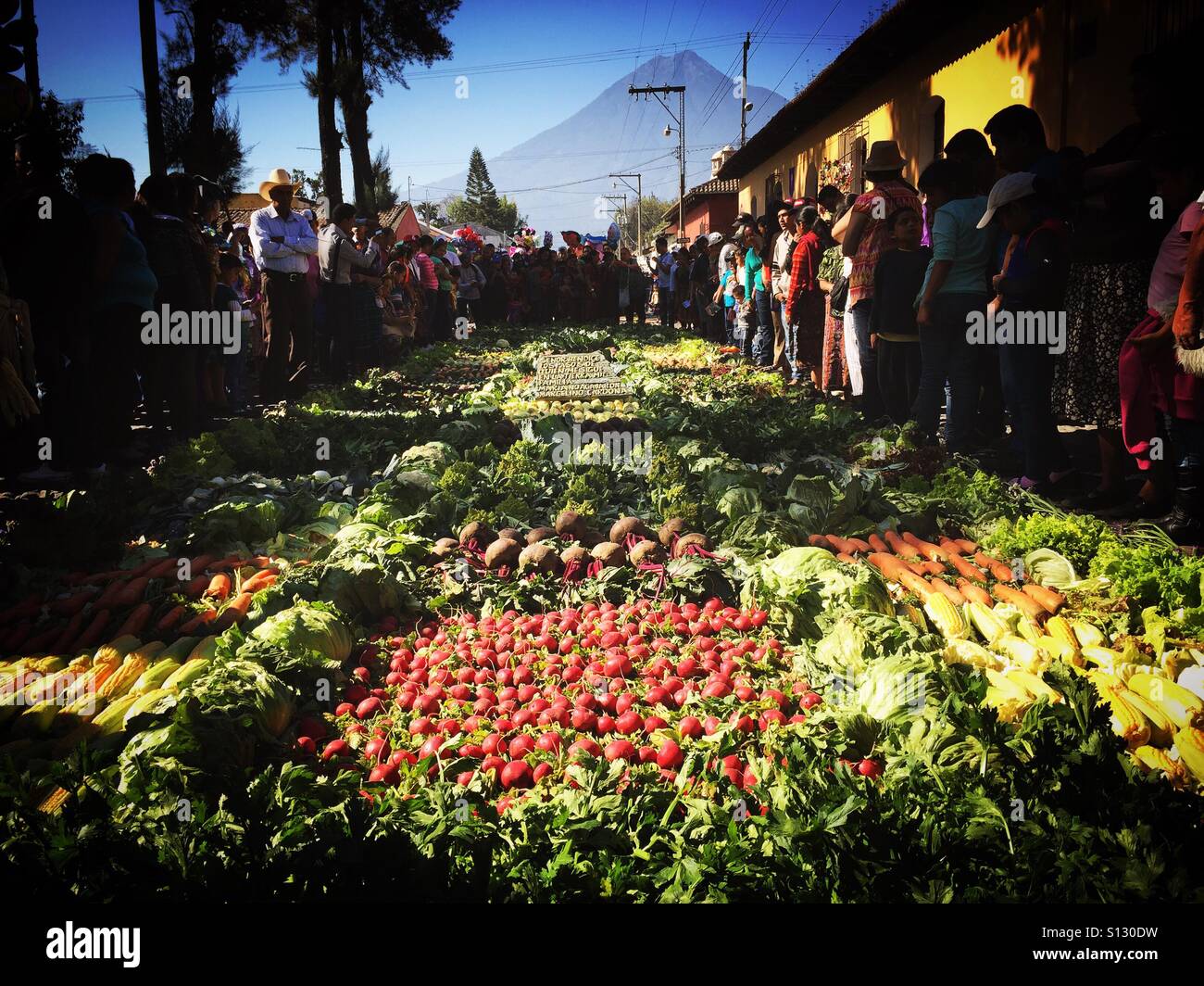 Holy Week carpet of vegetables for Good Friday procession with Agua Volcano behind in Antigua, Guatemala, Central America - Smartphone Captured Stock Image