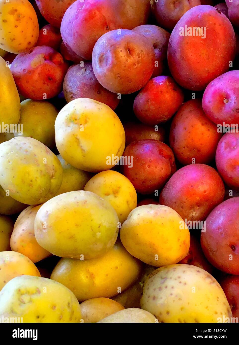 Red and yellow potatoes Stock Photo - Alamy