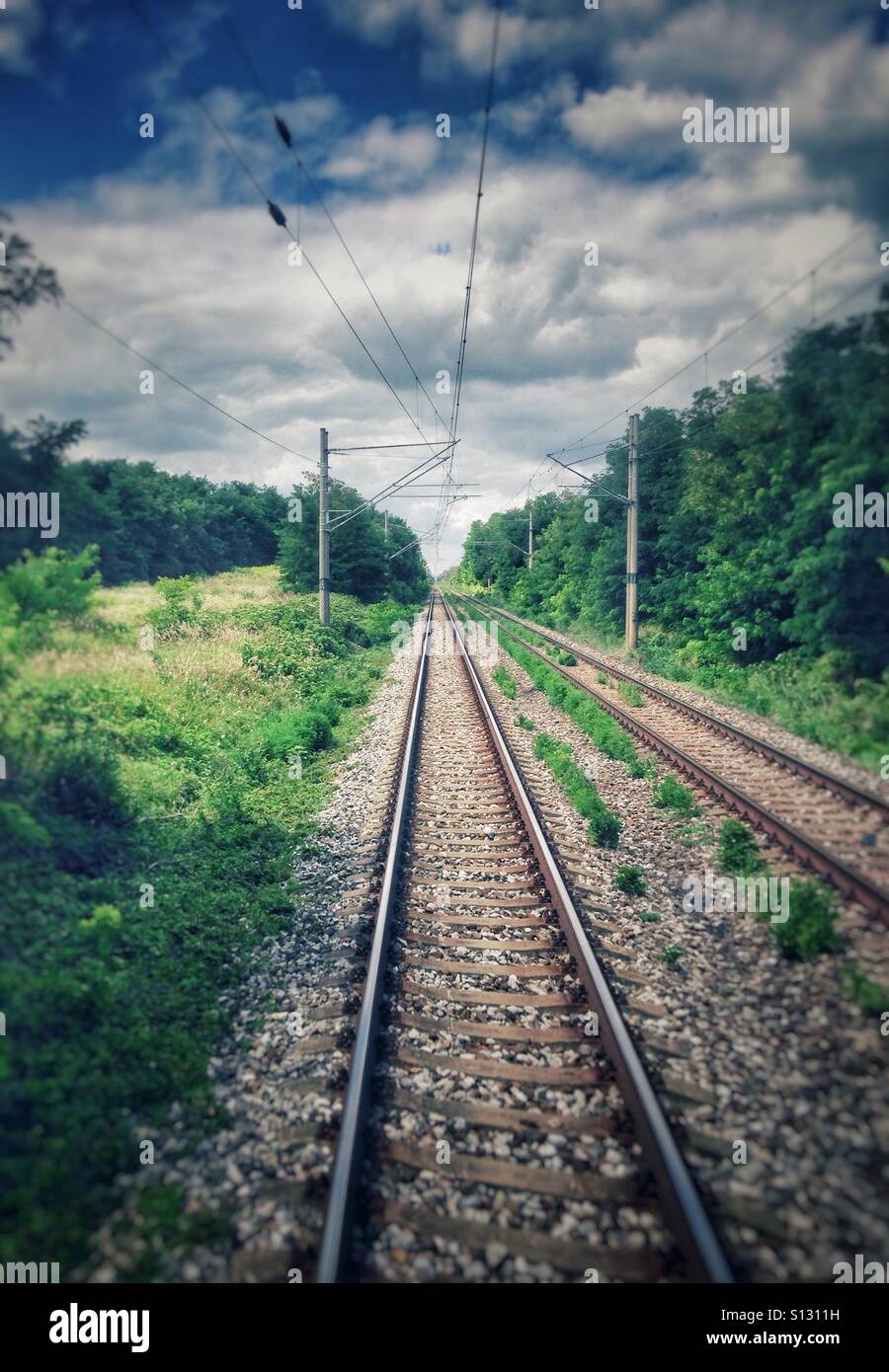 Railway road in a forest - Smartphone Captured Stock Image
