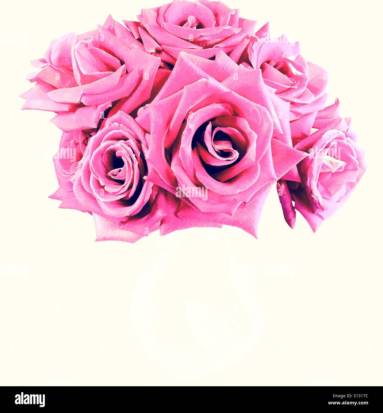 Bouquet of pink roses Stock Photo